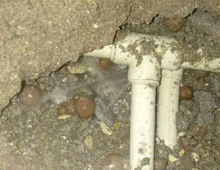 西区卫生间测漏