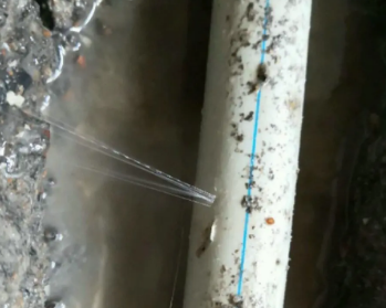 西区卫生间测漏水多少钱
